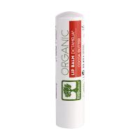 foto бальзам для губ bioselect lip balm з ароматом бісквіту, 4.4 г