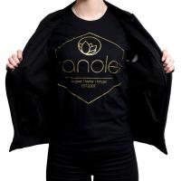 foto фирменная футболка nanolex t-shirt classic s, black/gold nxtshbs